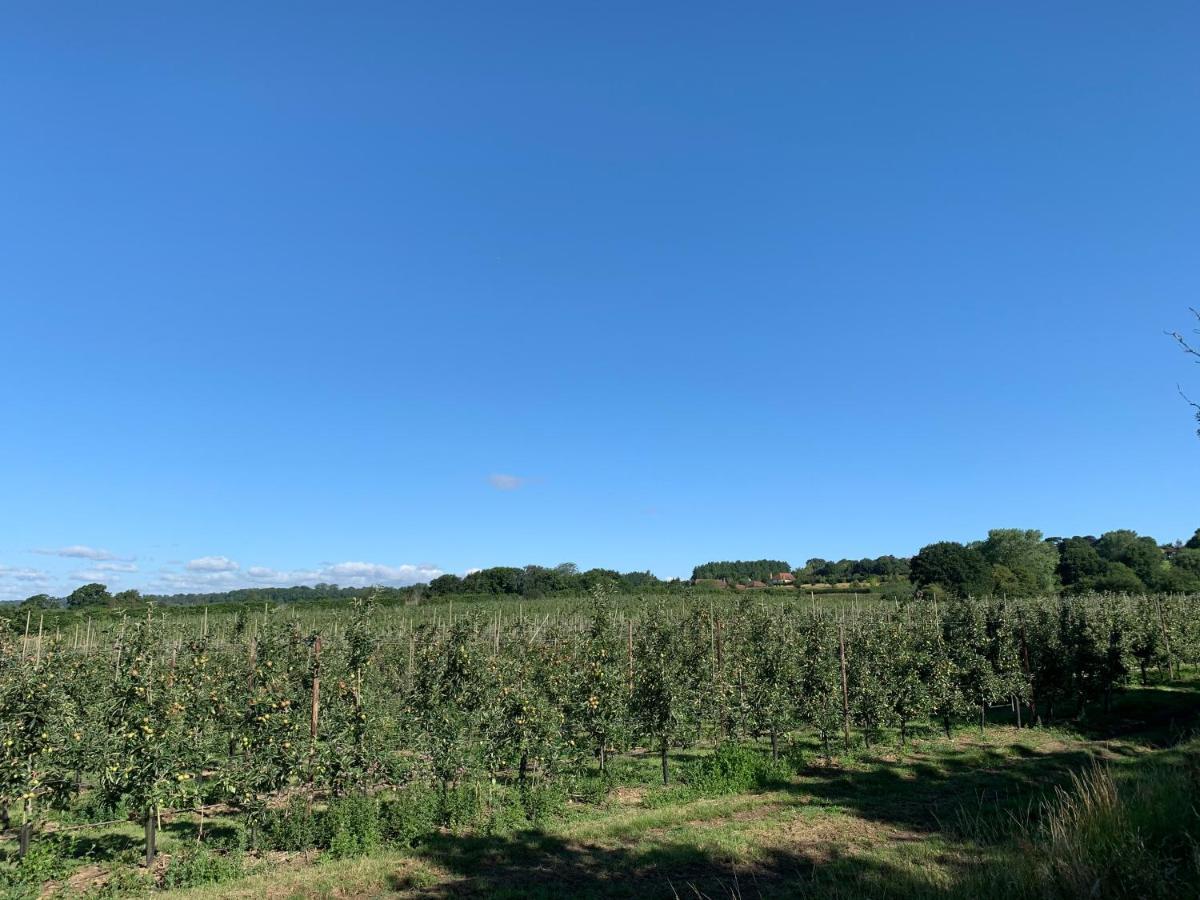 Sutton Valence Blackberry Cottage מראה חיצוני תמונה