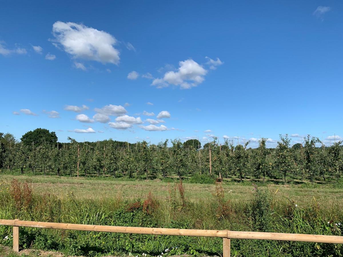 Sutton Valence Blackberry Cottage מראה חיצוני תמונה